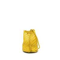 Genti de mana Dragon Diffusion Bags Femei