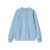 Carhartt "Carhartt" sweatshirt Light blue