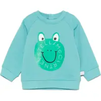Pulovere casual Sweatshirt Baieti