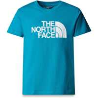 Tricouri T-Shirt Baieti