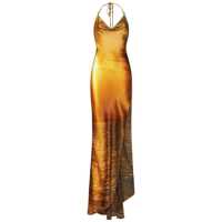 Rochii Roberto Cavalli Long Dress Femei