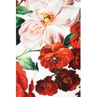 Fuste Dolce & Gabbana Floral Longuette Skirt Femei
