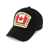 DSQUARED2 DSQUARED2 Hats Black