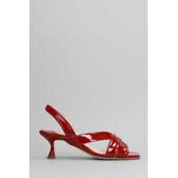 Sandale Anna F. Sandals Femei