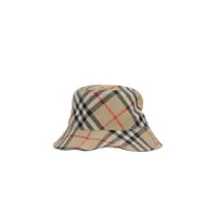 Esarfe Burberry Burberry Scarfs