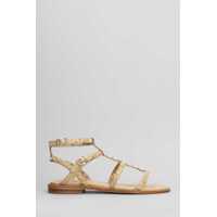 Balerini Ash Pandora Flats Femei