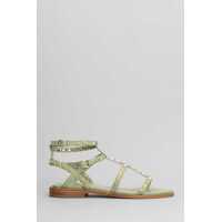 Balerini Ash Pandora Flats Femei