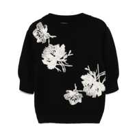 Pulovere Embroidered sweater Femei
