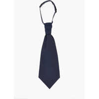 Cravate Embroidered Silk Ascot Tie Barbati