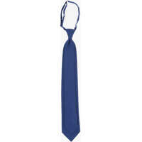 Cravate CORNELIANI Silk Ascot Tie