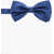 CORNELIANI Solid Color Silk Bow Tie Blue