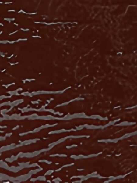 Cizme scurte Stella McCartney Boot Spur BORDEAUX Femei (BM 18090952) 5