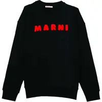 Bluze de trening Logoed Sweatshirt Barbati