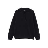 Bluze de trening Emporio Armani Logo Cotton Hoodie Barbati