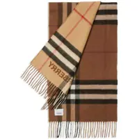 Esarfe Burberry Scarf Accessories Femei