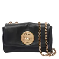 Genti de umar Chloé Bags Femei