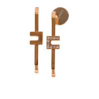 Cercei Elisabetta Franchi Logoed Earrings Femei