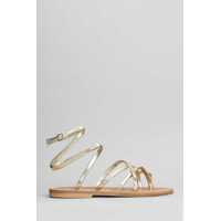 Balerini K.Jacques Zenobie F Flats Femei