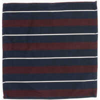 Esarfe Striped Silk And Cotton Pocket Square Barbati