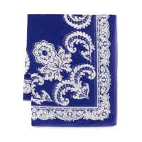 Esarfe Etro Scarf With Print Femei