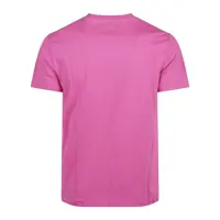 Tricouri Polo Polo Ralph Lauren Tshirt Barbati