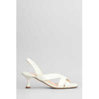 Sandale Anna F. Sandals Femei