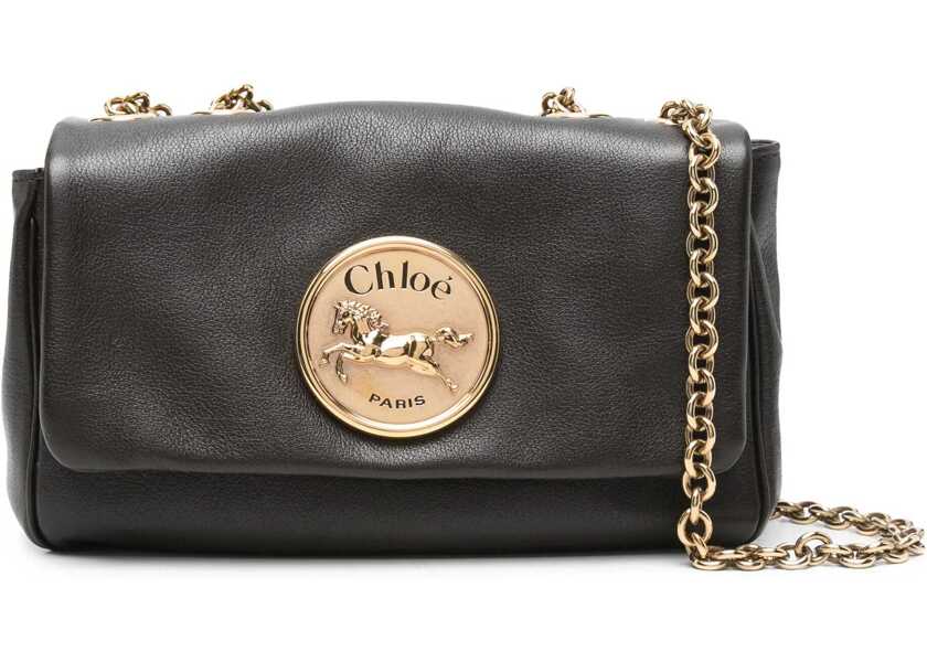 Genti de umar Chloe Chloe Heritage Bag BROWN Femei (BM 18319927) 1