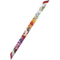 Fulare Dama - Fulare Dolce & Gabbana Twill Bandeau MULTICOLOUR Femei (BM 18326308) - B-mall.ro