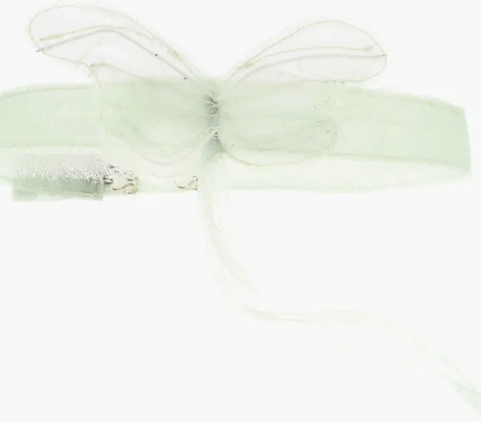 Coliere DSQUARED2 Solid Color Organza Chocker Necklace With Butterfly Detail Green Femei (BM 18370576) 2