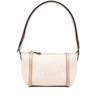 Genti de mana Chloé Handbags. Femei