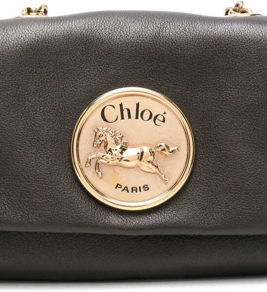 Genti de umar Chloe Heritage Shoulder Bag INK BROWN Femei (BM 18382492) 4