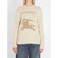 Pulovere Pullover With Logo Femei