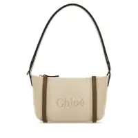 Genti de mana Chloé Handbags. Femei
