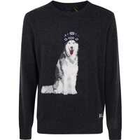 Tricouri Polo Polo Ralph Lauren Long Sleeves Pullover Clothing Barbati