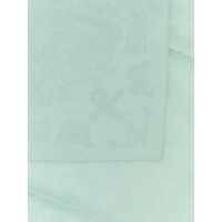 Esarfe Alexander McQueen Dama - Esarfe Alexander McQueen Alexander McQueen Scarves And Foulards BLUE Femei (BM 18492552) - B-mall.ro
