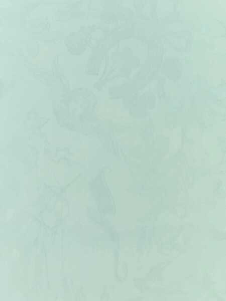 Esarfe Alexander McQueen Alexander McQueen Scarves And Foulards BLUE Femei (BM 18492552) 3