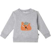 Hanorace Sweatshirt Baieti