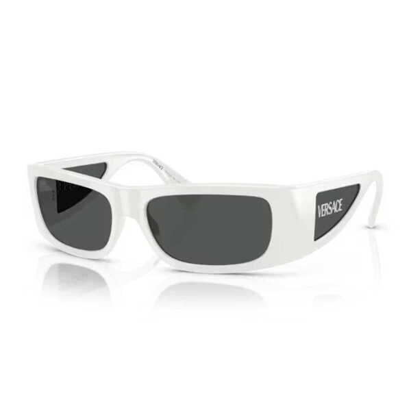 Ochelari de soare Versace Versace 0Ve4482 Lens Logo Sunglasses WHITE Barbati (BM 18534960) 2