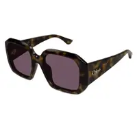 Ochelari de soare Chloé Sunglasses Femei