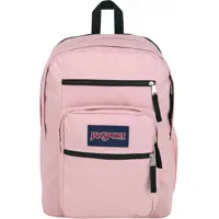Rucsacuri Big Student Backpack Femei