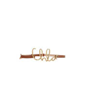 Curele Chloé Belts Femei