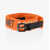 DSQUARED2 Fabric Belt With Leather Details 50Mm Orange