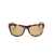Saint Laurent Saint Laurent Eyewear Sunglasses Brown