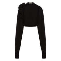 Camasi Alberta Ferretti Jersey Clothing Femei