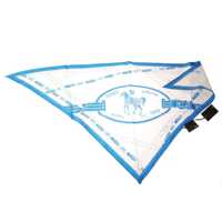 Esarfe Fendi Scarf Scarves Foulard Barbati