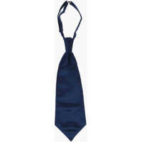 Cravate Solid Color Satin Ascot Tie Barbati
