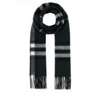 Esarfe Burberry Scarves And Foulards Femei