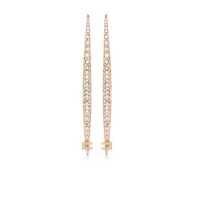 Cercei Elisabetta Franchi Earrings Femei