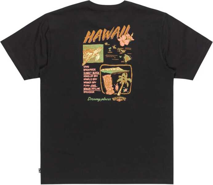 Tricouri Billabong Dreamy Place Tee Black Barbati (BM 18747766) 2