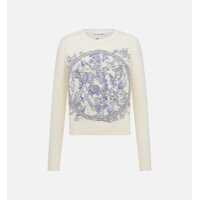 Camasi Dior Dior Pullover Clothing